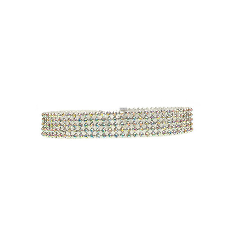 Crystal Rhinestone Choker Necklace (2 colors and 4 sizes)